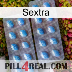 Sextra viagra4